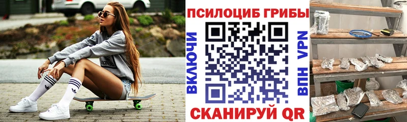 Псилоцибиновые грибы Magic Shrooms  Купить закладки  Гусиноозёрск 